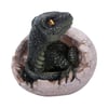 Raptors Dawn 10cm