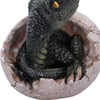 Raptors Dawn 10cm