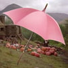 Rubeus Hagrid Umbrella Prop Replica - Harry Potter