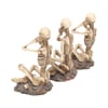 See No, Hear No, Speak No Skeletons (Set 3) 8.5cm P6