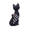 Sugar Puss 26cm