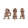 Three Wise Tyrannosaurus Rex Skeletons 9.3cm