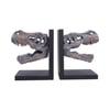 Tyrannosaurus Rex Skull Bookends