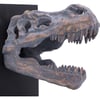 Tyrannosaurus Rex Skull Bookends