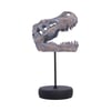 Tyrannosaurus Rex Skull on Plinth