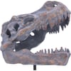 Tyrannosaurus Rex Skull on Plinth