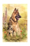 5D Elmas Taş İşleme Kiti Tablo 21x25 cm Köpekler Desen