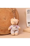 Çift Peluş Ayıcık, Peluş Çanta Süsü, Peluş Anahtarlık, Sevgili Anahtarlığı, Arkadaş Anahtarlığı