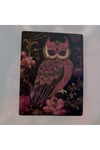 DIY 5D Elmas Taş İşleme Kiti Tablo 15X20 baykuş