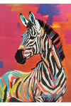 DIY 5D Elmas Taş İşleme Kiti Tablo 15X20 zebra