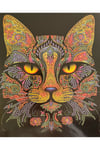 DIY 5d Elmas Taş Işleme Kiti Tablo 21X25  renkli kedi