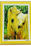 Goblen Etamin Işleme Seti 40x50 Cm 147