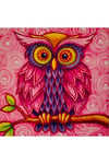 Hı Stone 5d Elmas Boncuk Taş Işleme Mozaik Goblen Kit 30x30cm Ms20706
