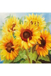 Hı Stone 5d Elmas Boncuk Taş Işleme Mozaik Goblen Kit 30x30cm Ms24704