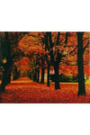 Hı Stone 5d Elmas Boncuk Taş Işleme Mozaik Goblen Kit 50x40cm Gc73478