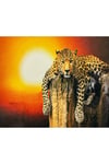 Hı Stone 5d Elmas Boncuk Taş Işleme Mozaik Goblen Kit 50x65 Cm Sgk79015