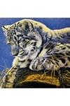 Hı Stone 5d Elmas Boncuk Taş Işleme Mozaik Goblen Kit 30x30cm Ms25889