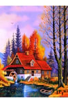 Hı Stone 5d Elmas Boncuk Taş Işleme Mozaik Goblen Kit 30x40cm Ydf74706