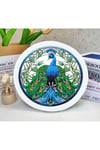 Histone 5D Elmas Taş İşleme Kiti 20x20 cm Yuvarlak Çerçeveli Tavuskuşu Desen