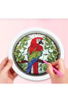 Histone 5D Elmas Taş İşleme Kiti 20x20 cm Yuvarlak Çerçeveli Papağan Desen