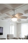 KCF281 DEKORATİF TAVAN VANTİ 60W 30