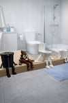 Dekoratif 4'Lü Banyo Seti Biblo
