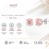 Servi 925 Ayar Gümüş Rosalie 4 mm Tektaş Küpe