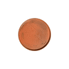 Fall Terra Stolt Düz Tabak 25,5 cm 