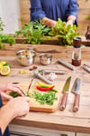Rösle Masterclass Santoku Bıçak 17 cm 12124