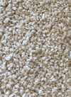 İthal Beyaz Susam   (5 Kg)