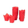 Tulip 160/50 Kırmızı (200 Adet)