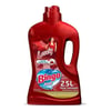 Bingo Fresh Yüzey Temizleyici Lovely 2,5 lt