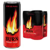 Burn Enerji İçeceği 250ml 12'li