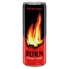 Burn Enerji İçeceği 250ml 12'li