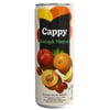 Cappy Kutu Karışık Meyve Suyu 330 ml 12'li