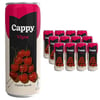 Cappy Kutu Vişneli Meyve Suyu 330 ml 12'li