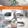 Cif Profesyonel Yağ Çözücü Sprey 750 ml