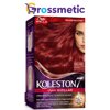 Koleston Set 66/46 Ask Alevi