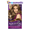 Koleston Set 7/0 Kumral