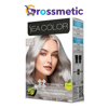 Sea Color 0.02 Gümüş Gri Saç Boyası