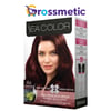 Sea Color 4.6 Kestane Kızılı Saç Boyası