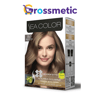 Sea Color Set 8.0 Açık Kumral