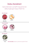 Pink Shine & Radiant Glamour Yüksek Kalıcılıklı Vücut Parfümü & Body Mist – 200 Ml