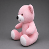 SEVİMLİ PELUŞ AYICIK