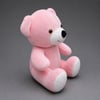 SEVİMLİ PELUŞ AYICIK