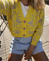 women knitwear
