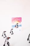Afrika Pengueni Broş