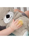 Fisher-Price® Uyku Arkadaşı Su Samuru | FXC66