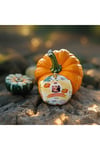 Bal Kabağı Püresi 200 gr