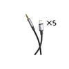 AC-04 Plus Lightning Aux 5'li